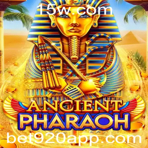 bet920 Casino App